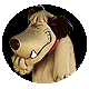 GriFFo